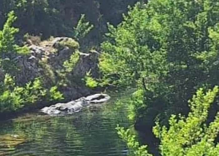 Maison Bord De Vakantiehuis *