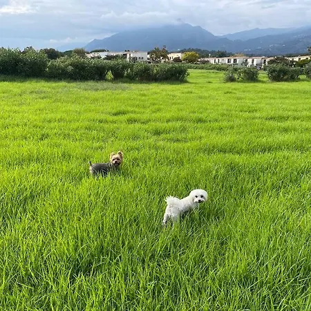 Maison Bord De Poggio Mezzana
