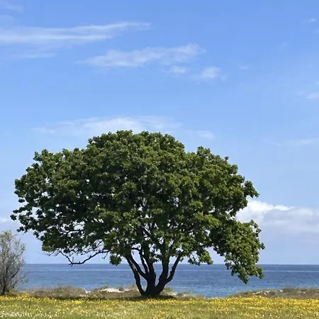 Maison Bord De Tatil Evi *