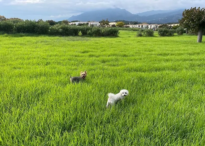 Maison Bord De Poggio Mezzana